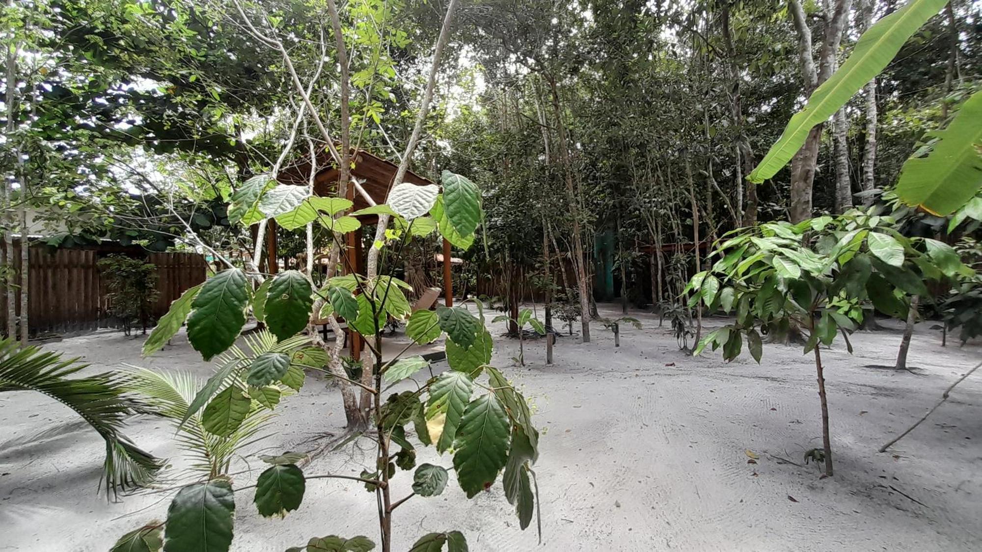 Chales Guigo-Cumuruxatiba, Sossego E Privacidade Buitenkant foto