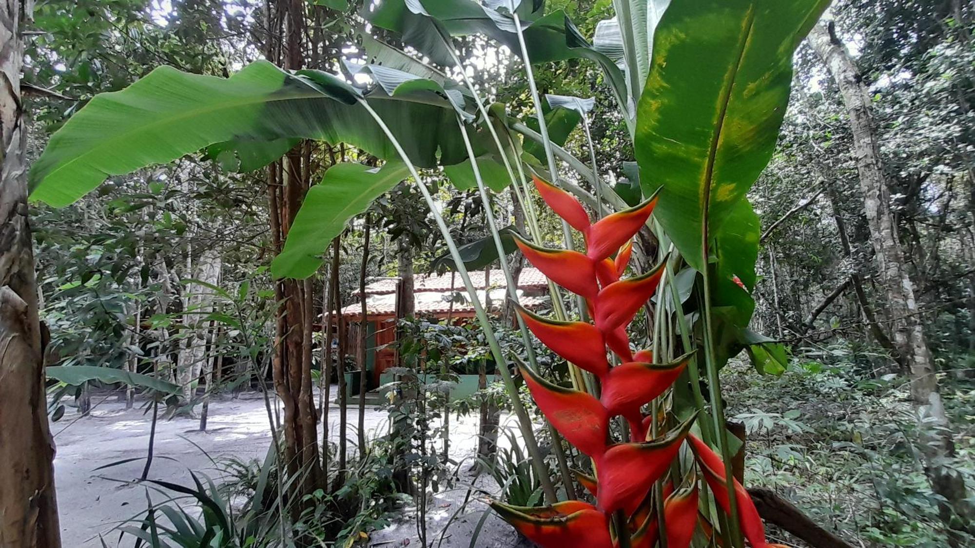 Chales Guigo-Cumuruxatiba, Sossego E Privacidade Buitenkant foto